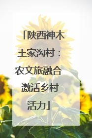 陕西神木王家沟村：农文旅融合 激活乡村活力